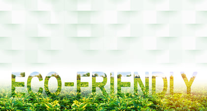 BLOG ECO PHOTO II Web Resolution