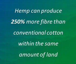 hemp2